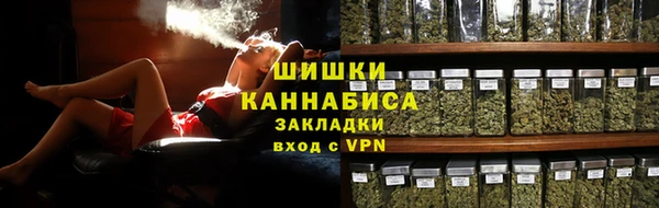 молекула духа Заволжье