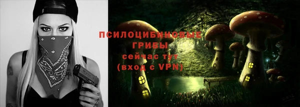 a pvp Заводоуковск