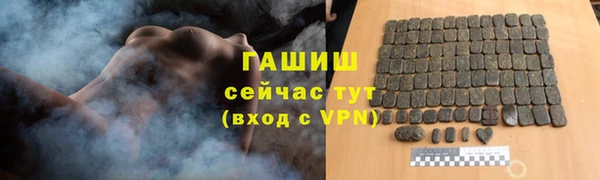 индика Зеленодольск