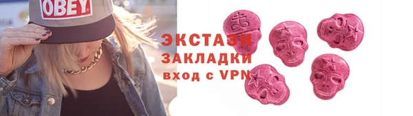 индика Зеленодольск