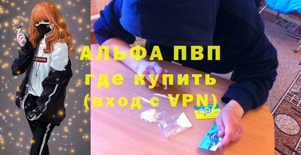 молекула духа Заволжье
