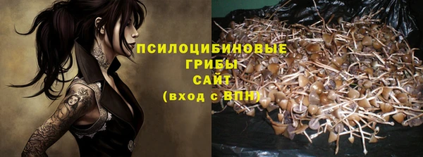 молекула духа Заволжье