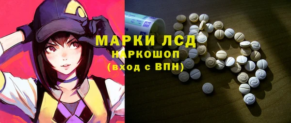 индика Зеленодольск