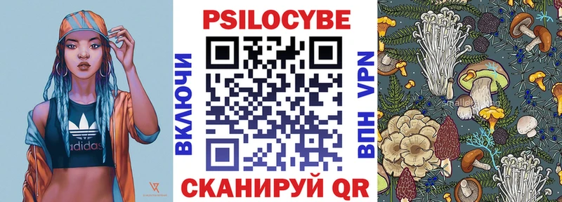 Купить  Камень-на-Оби  Псилоцибиновые грибы Psilocybine cubensis 